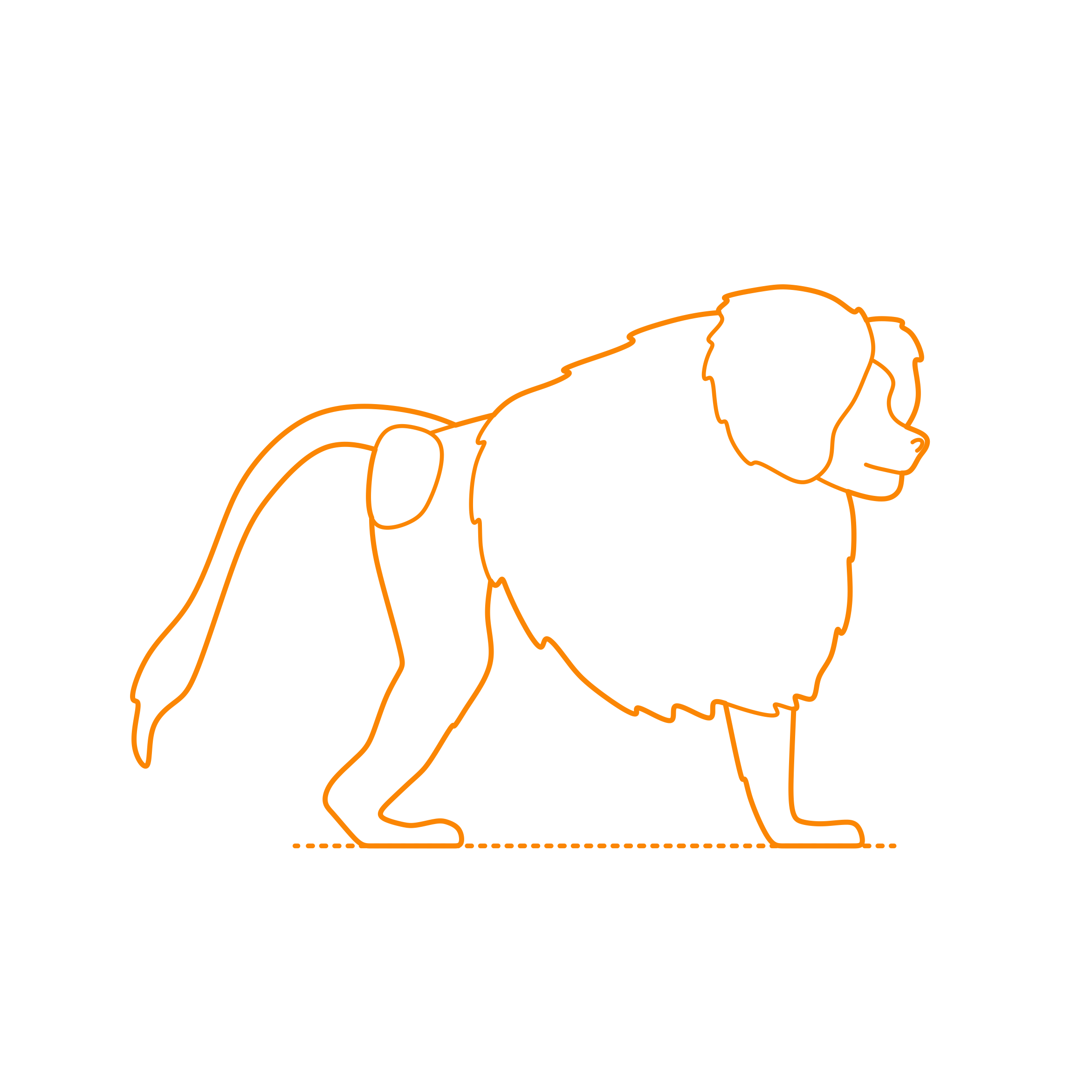 Animals Old World Monkeys Hamadryas Baboon Sticker Outline Svg File Free Vectors